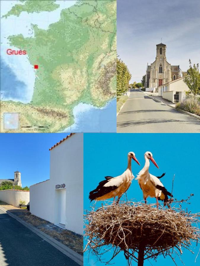 Galta des Matrus Appartement cosy 8kms de l Océan Grues Esterno foto